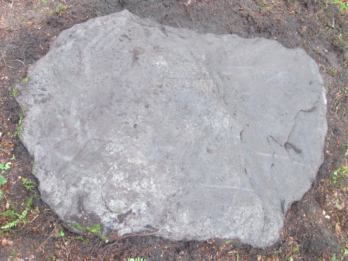 Argibel trikuharria, Donamaria