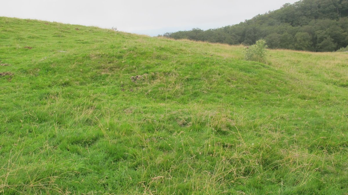 Ireberren etxola hondoa, Beruete-Basaburua