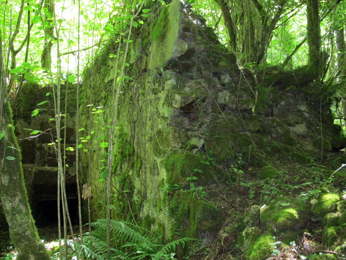 Errotako hondakinak, Ezkurra