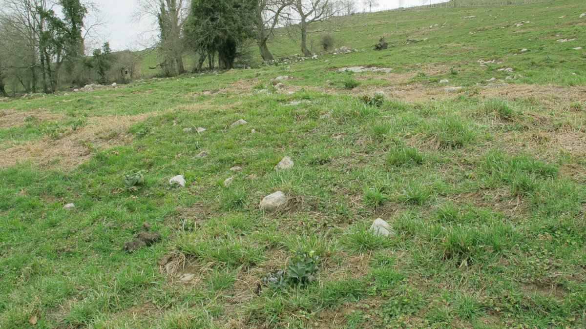 Andalorreko Borda 3 tumulua, Gartzain-Baztan