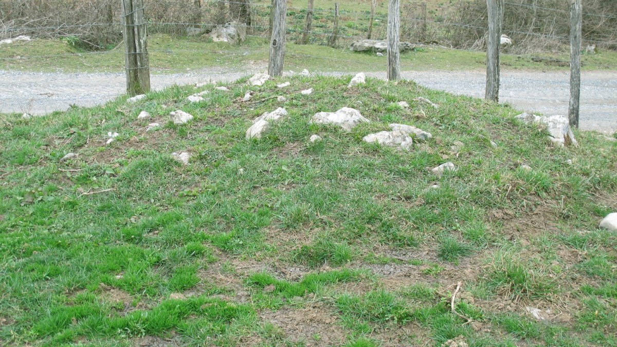 Andalorreko Borda 4 tumulua, Gartzain-Baztan