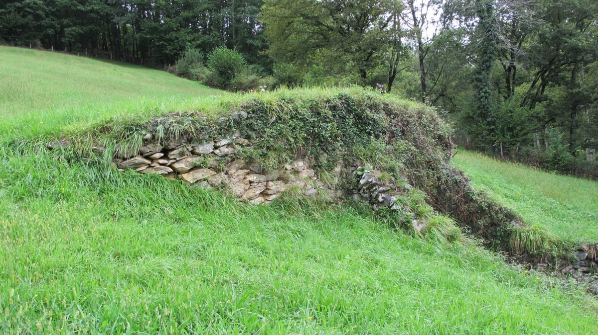 Albitz karobia, Arantza