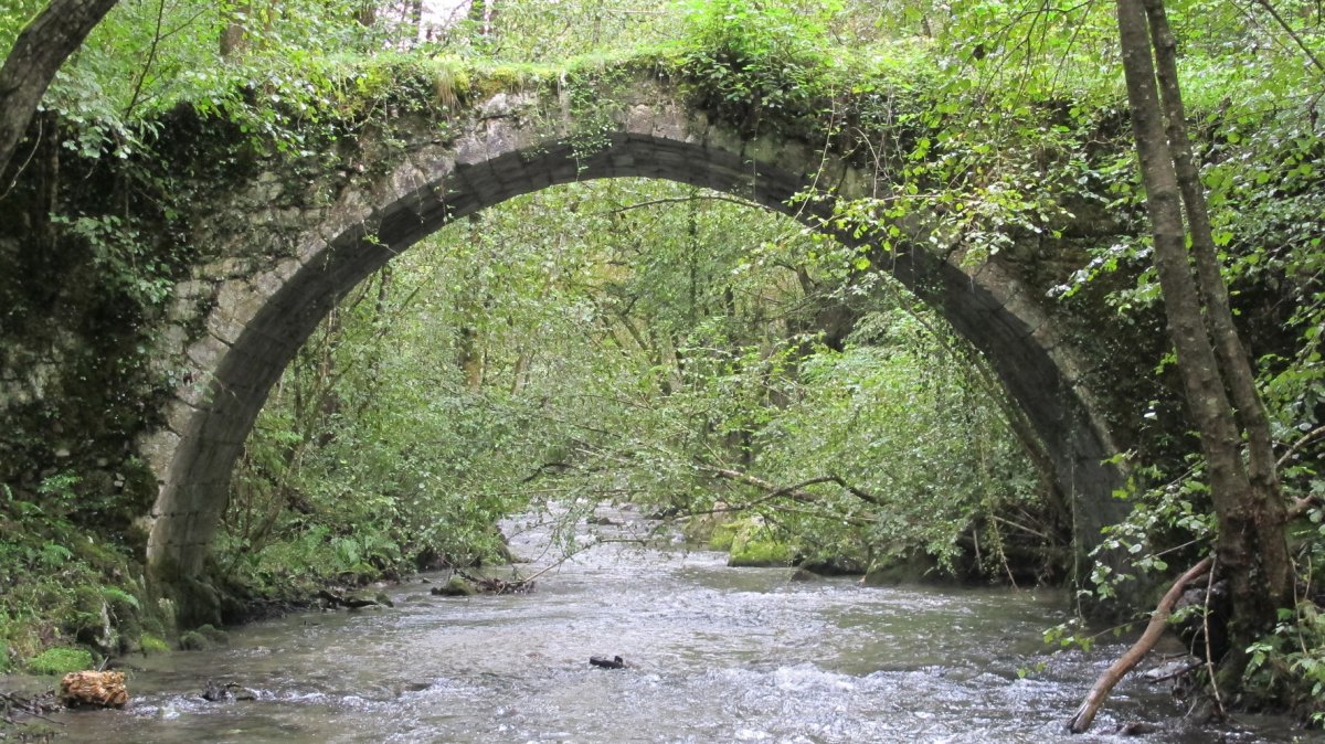 Beheko Errotako Zubia, Arantza