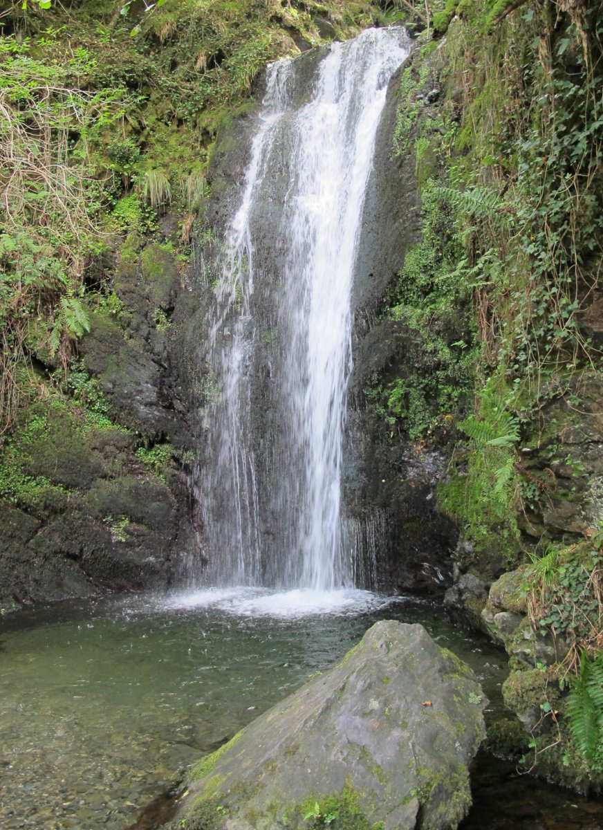 Putzubeltza Ur-jauzia, Arantza