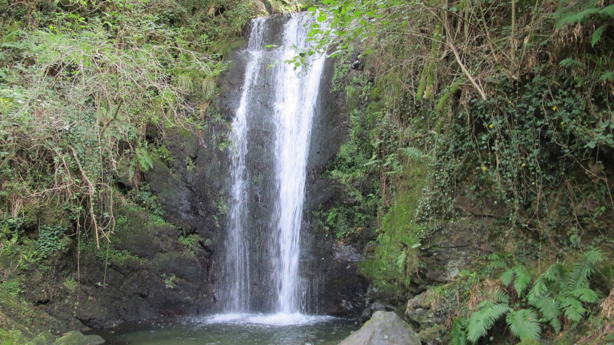 Putzubeltza Ur-jauzia, Arantza