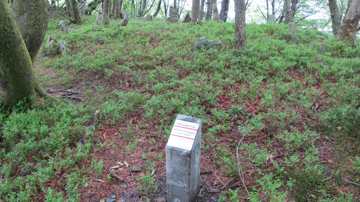 Baraxar Pagoxar harrespila, Goizueta