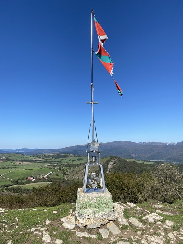 Buzoia