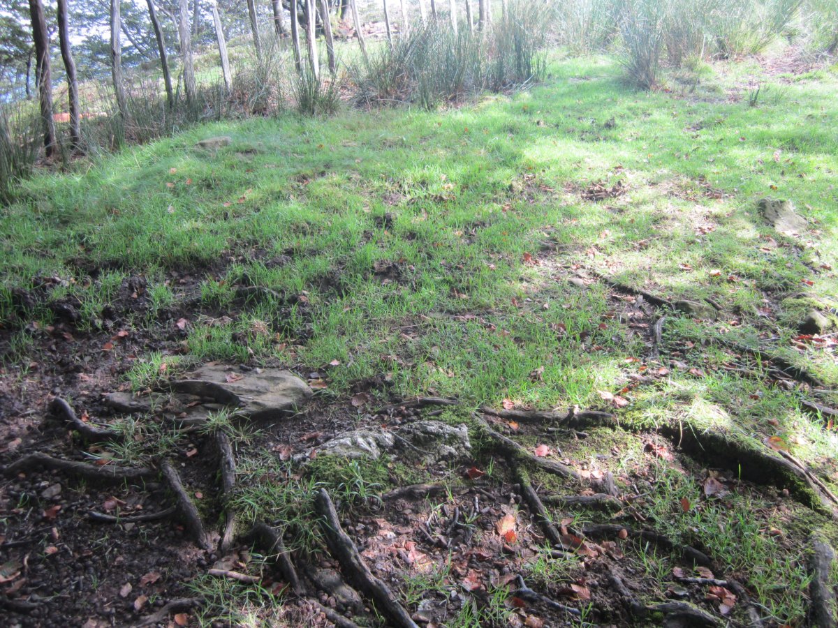 Cromlech Ibintza nº 6 ( 08-2014)