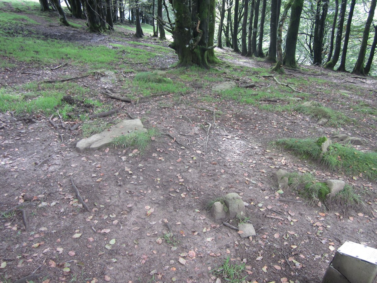 Cromlech Ibintza nº 4 ( 08-2014)