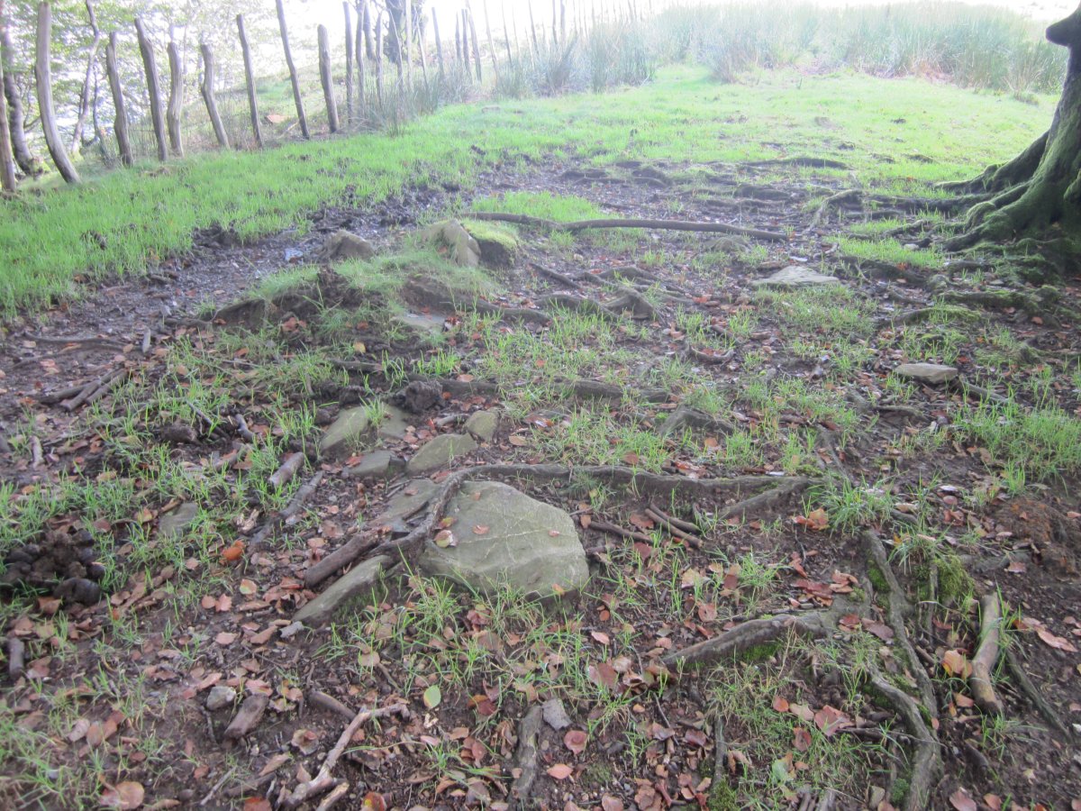 Cromlech Ibintza nº 2 ( 08-2014)