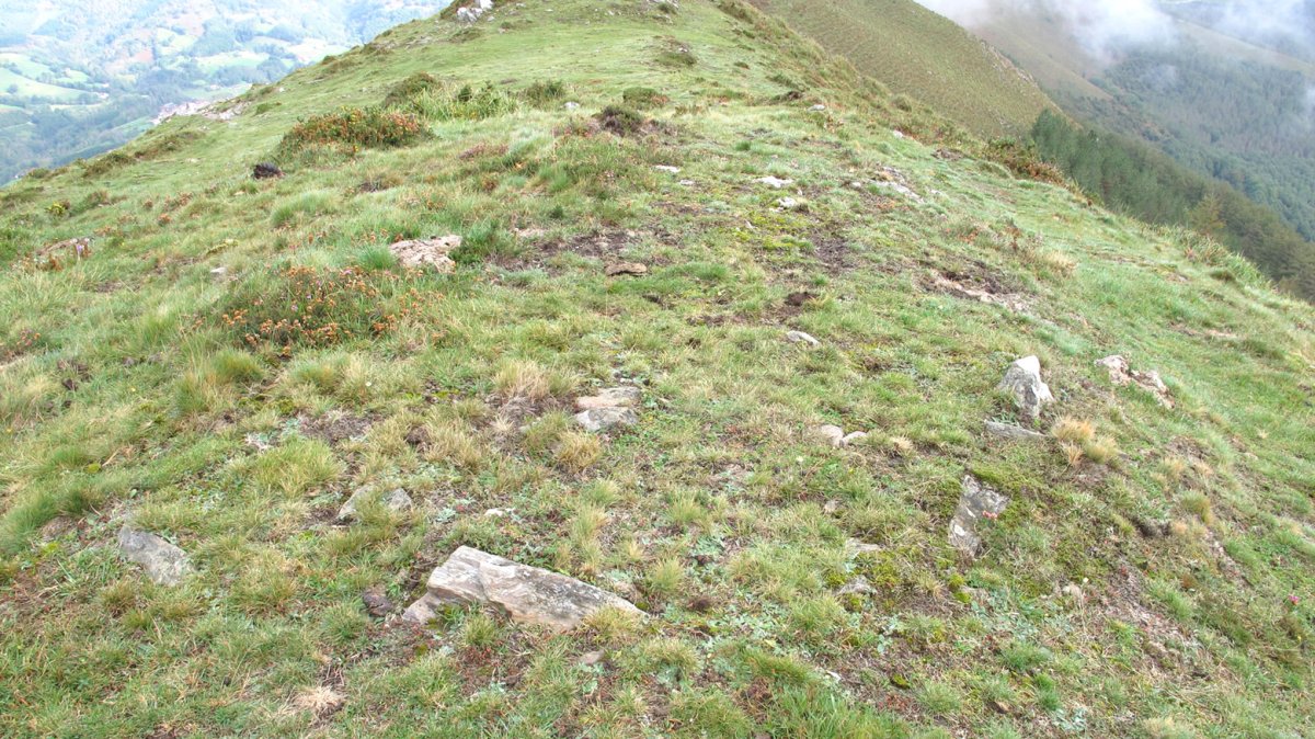 Mairubaratzeta harrespila, Sunbilla