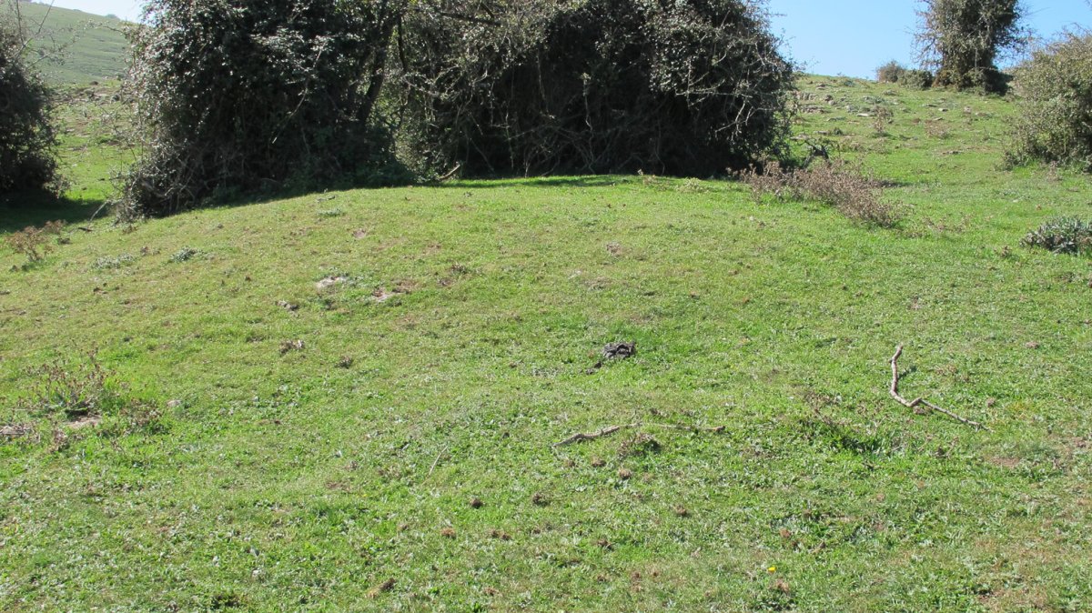 Iguzpegi 3 etxola hondoa, Andia