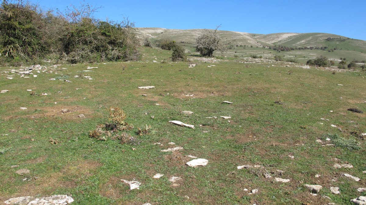 Soosa 14 etxola hondoa, Andia