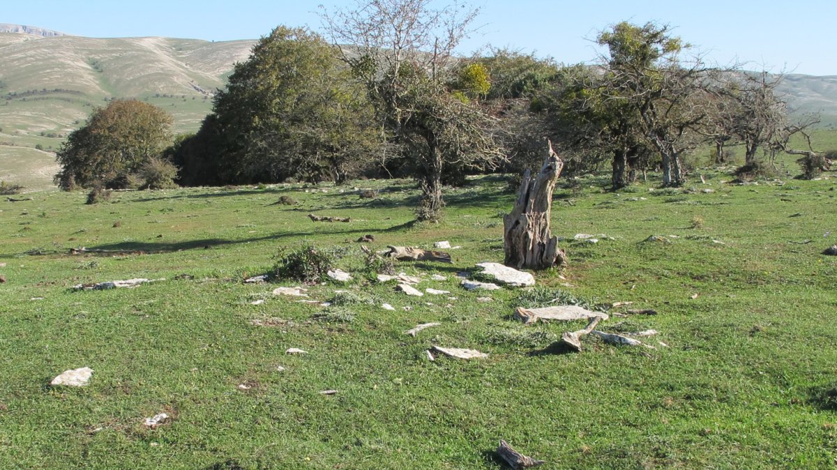 Mirueta 2 exola hondoa, Andia