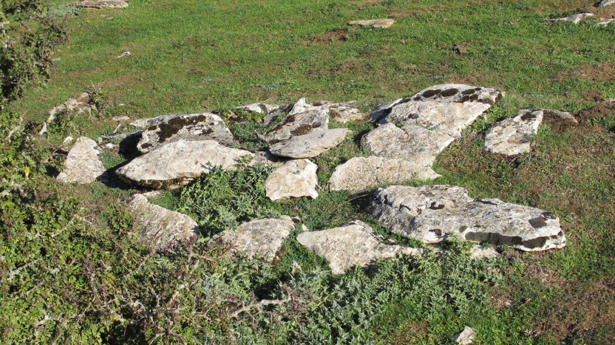 Eztañiturri zista edo hilobi 2, Andia