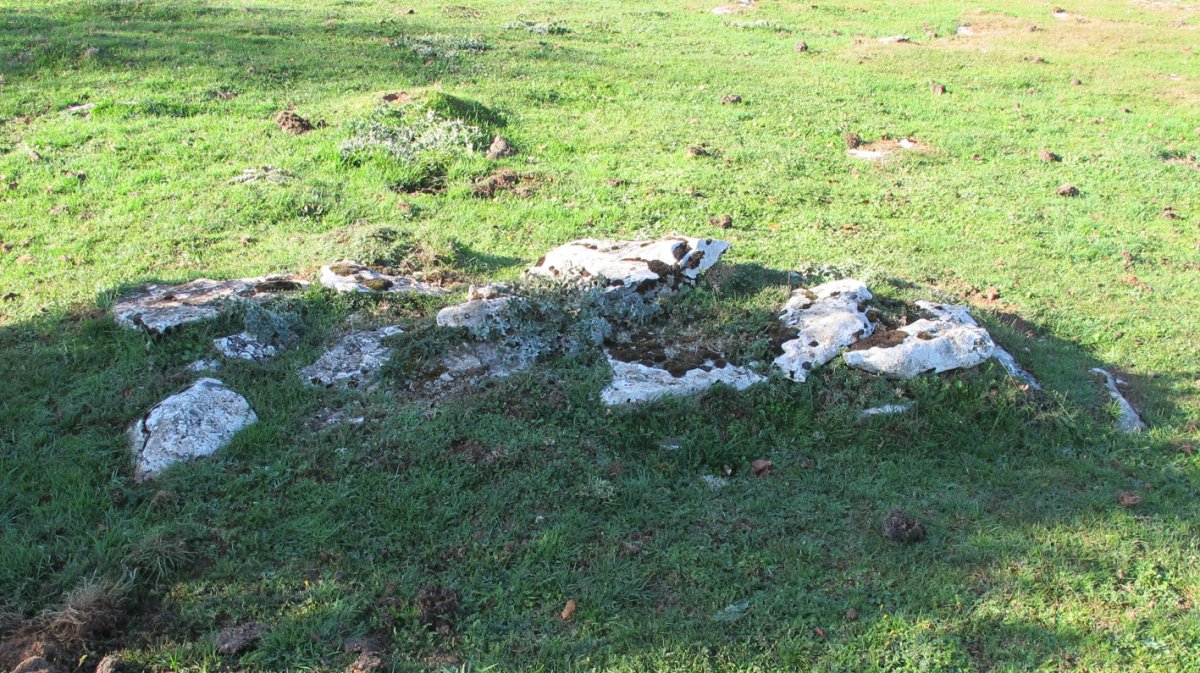 Eztañiturri zista edo hilobi 3, Andia