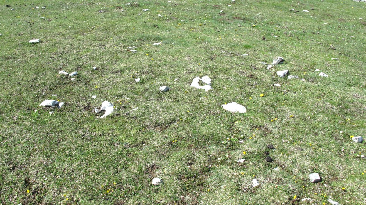 Balsa Fria 3 tumulua, Andia