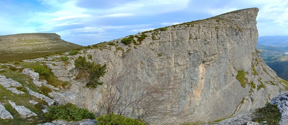 Ungino. atzean, Eskutxi