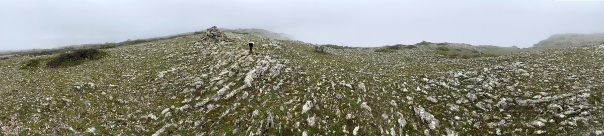 Mendebaldeko Tontorra