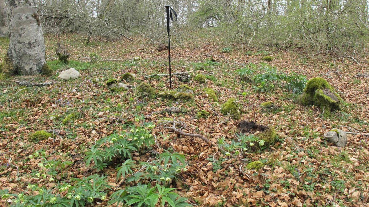 Bagaritxa 3 tumulua, Goñi