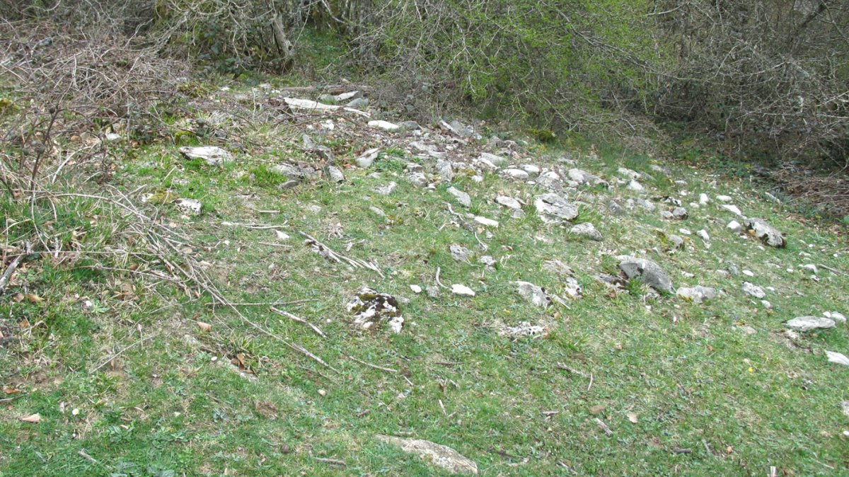 Bagaritxa 5 tumulua, Goñi