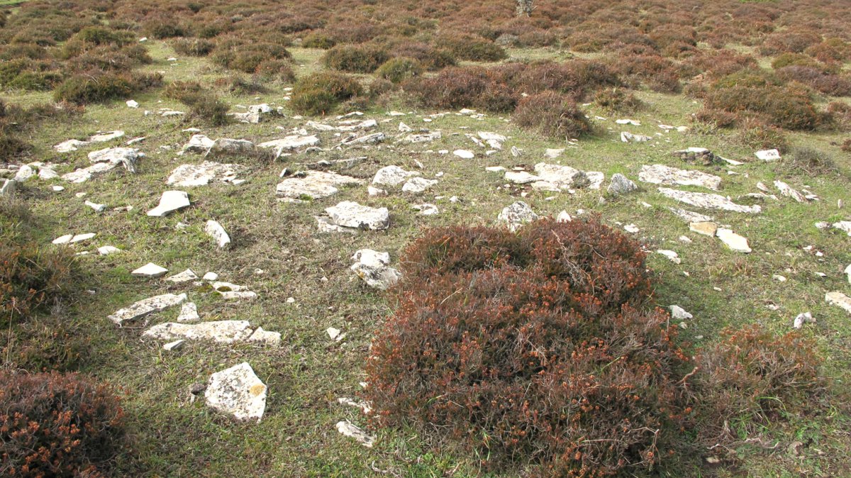 El Robo 10 tumulua, Andia