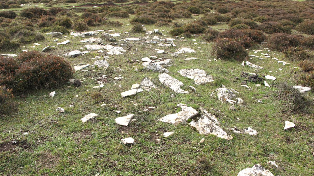 El Robo 10 tumulua, Andia