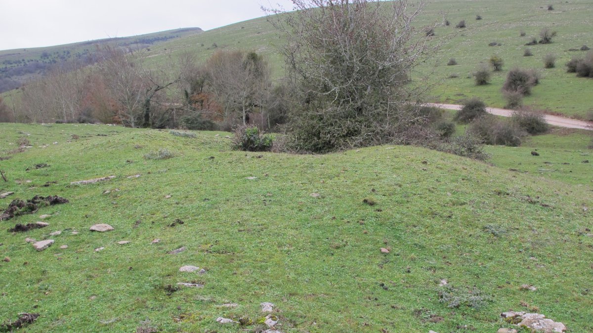 Poken tumulua, Andia