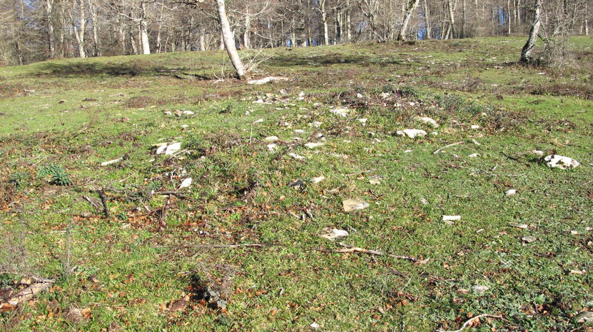 Bagaritxa 6 tumulua, Goñi