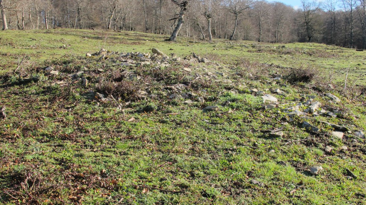 Bagaritxa 8 tumulua, Goñi