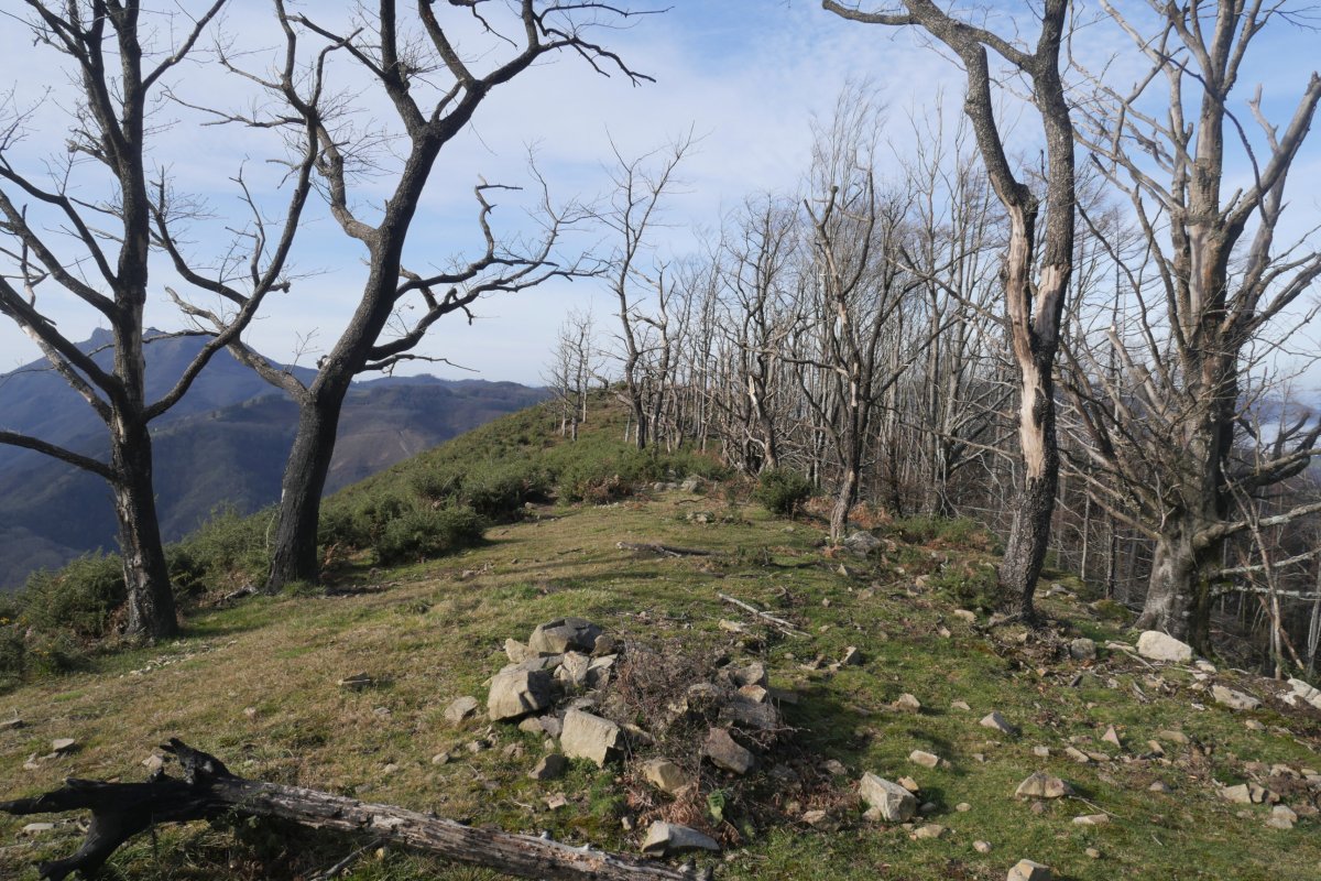 Faalegi gailurra, mendebaldeko tontorra