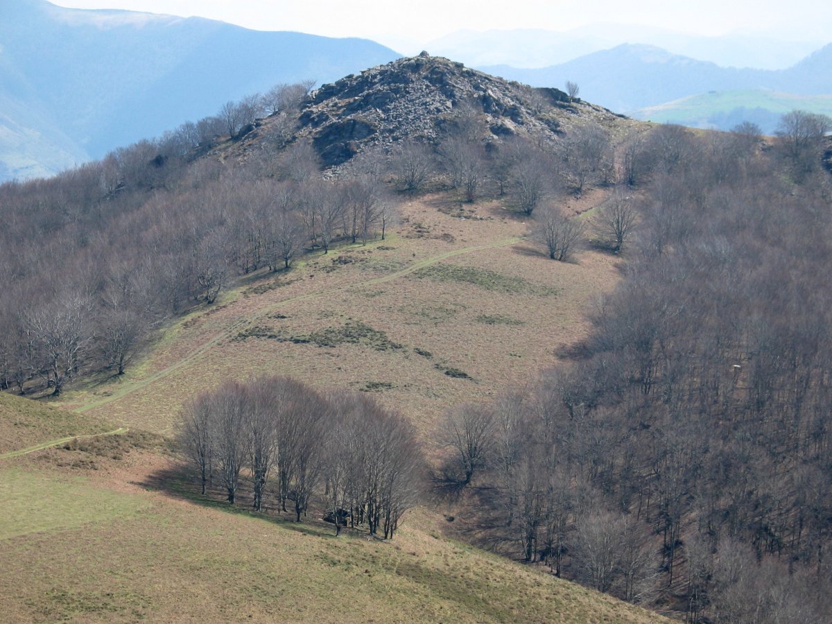 Ezkitz Larrondo aldetik ikusita