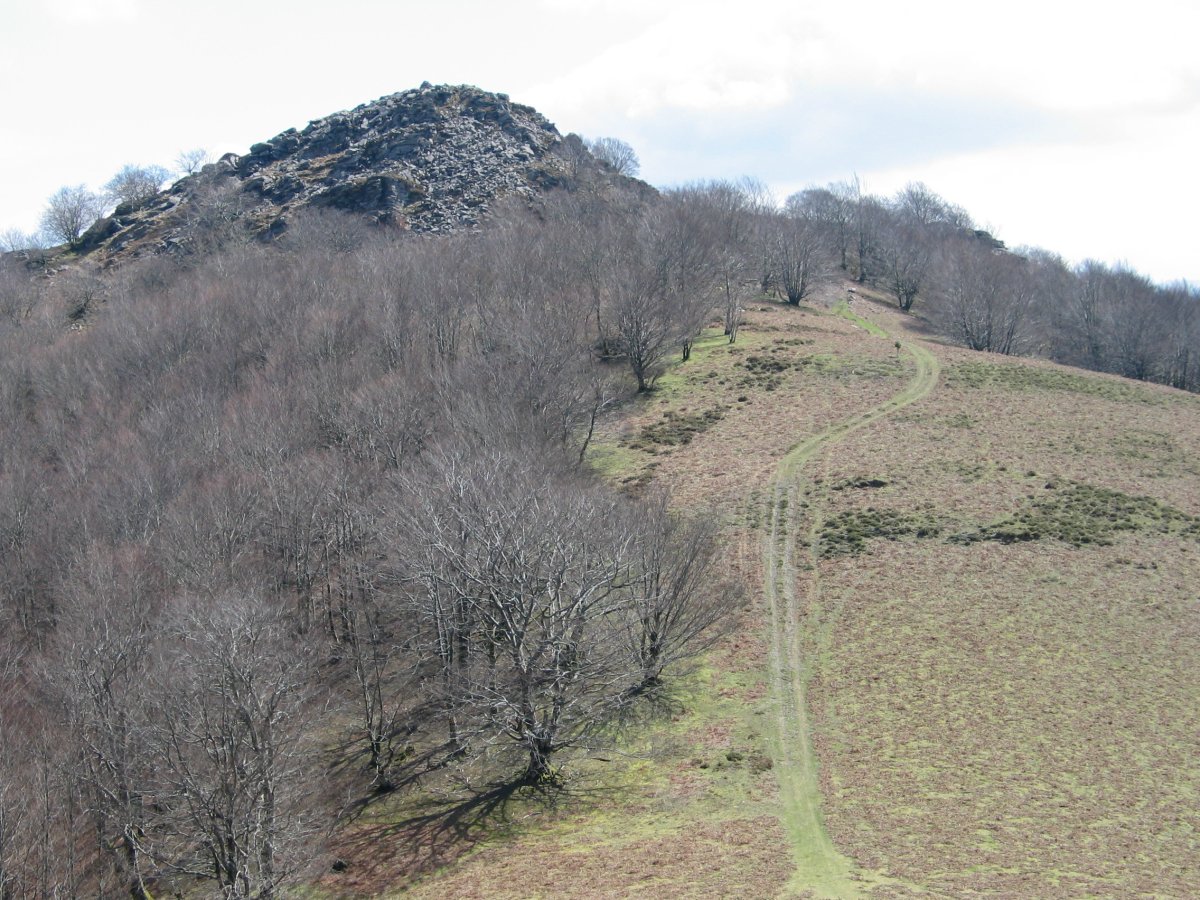 Ezkitz Larrondo aldeko bidetik