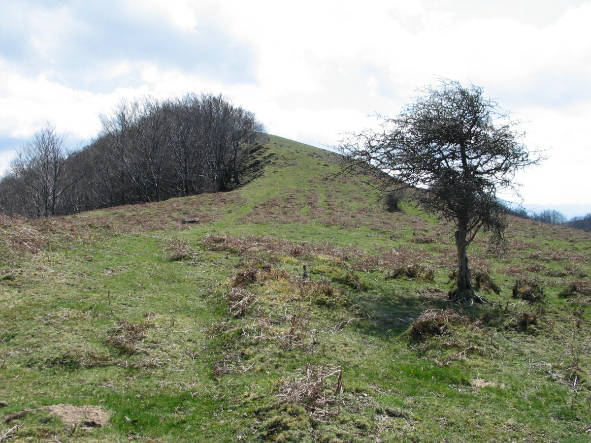 Larrondo iparraldetik