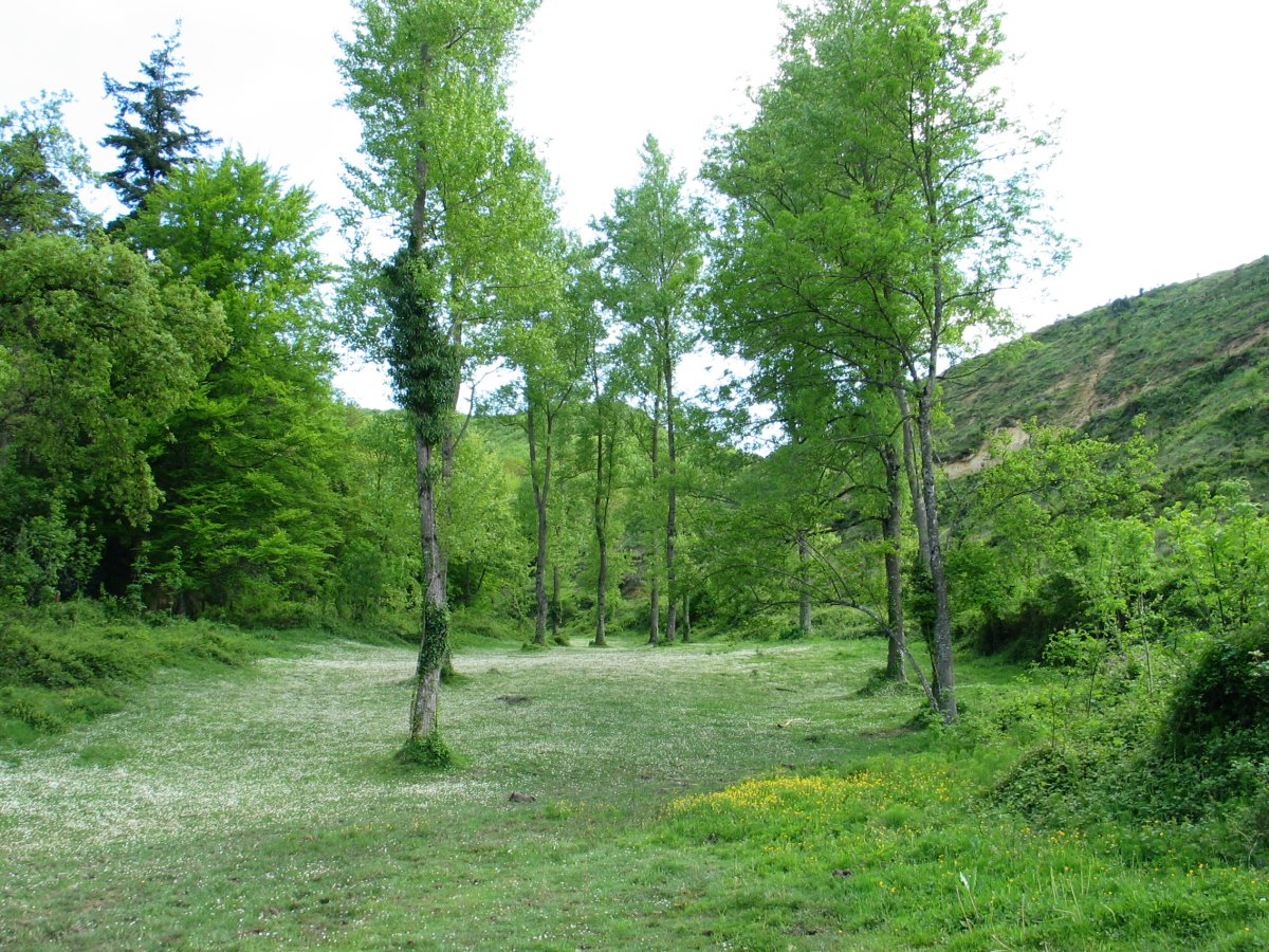 Apodaka aldeko pasarte bat