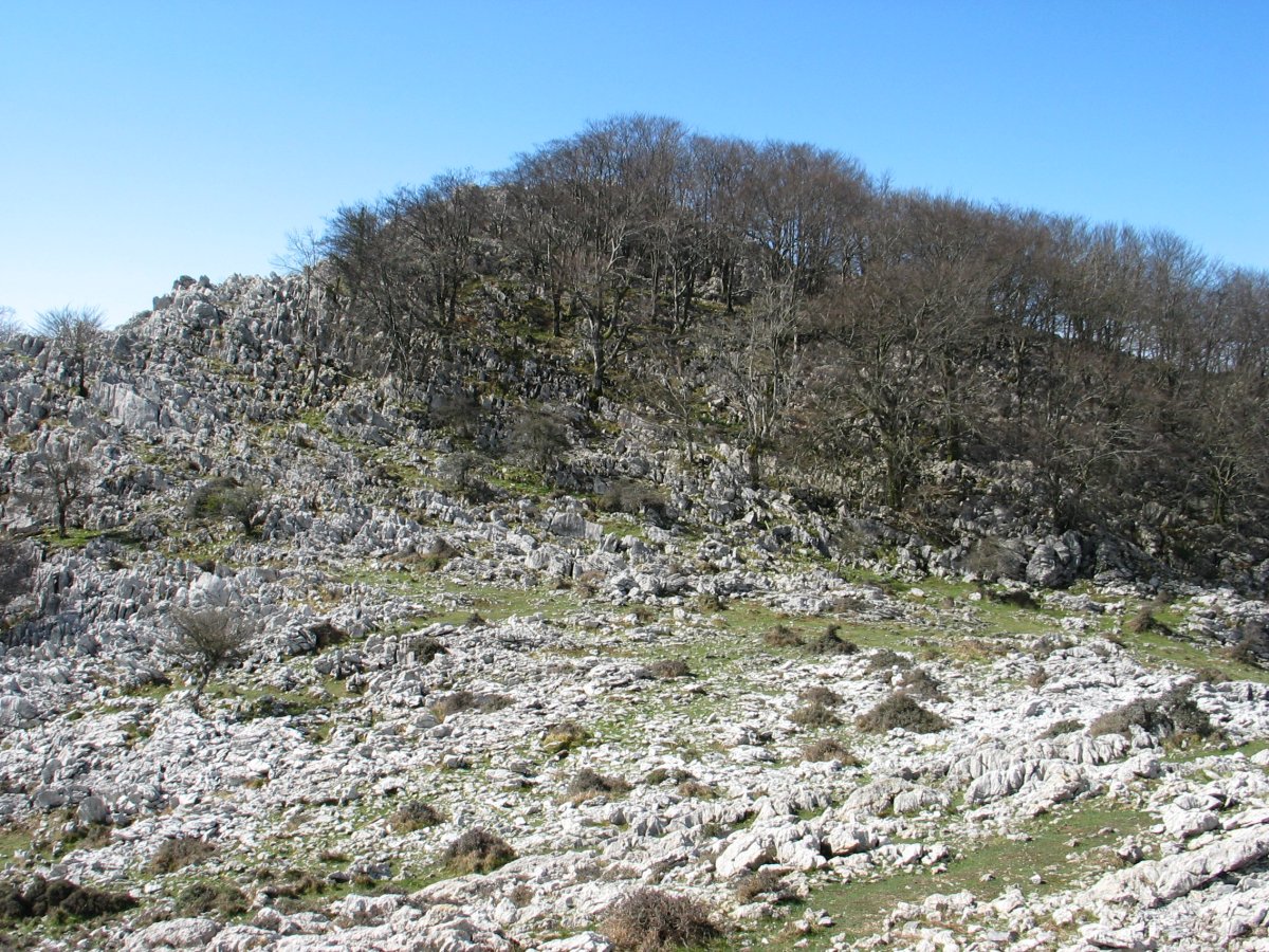 Iparraldeko isurialdea, Bernagoitiburu aldetik