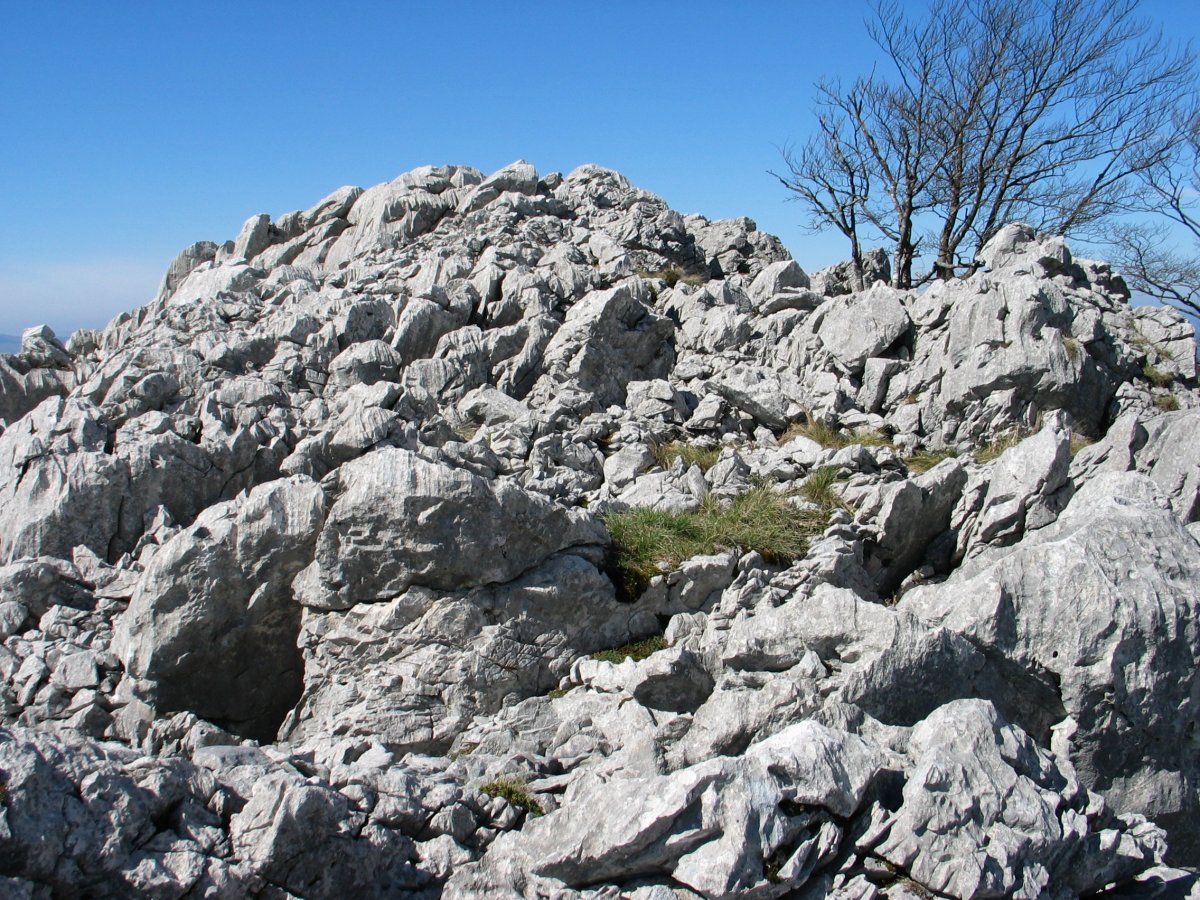 Betzuenburu tontorra Itik