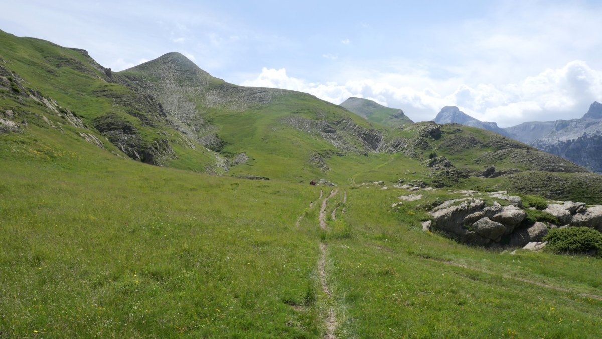 Lintzako lepora igotzen