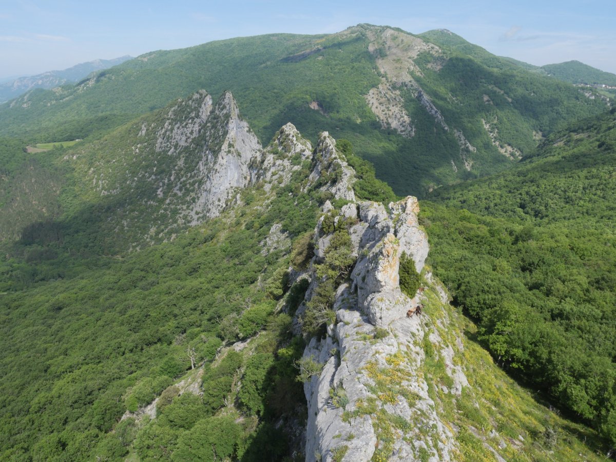 Allegain aldetik ikusita, ezin aurrera egin gandorrean.