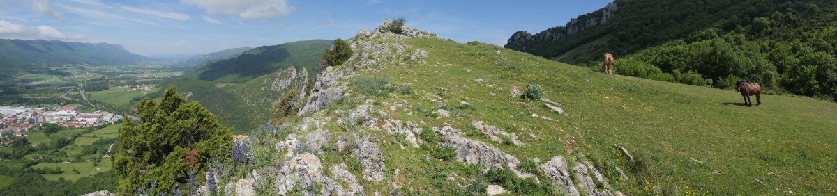 Allegain tontorra, gandorraren ertzean dagoena