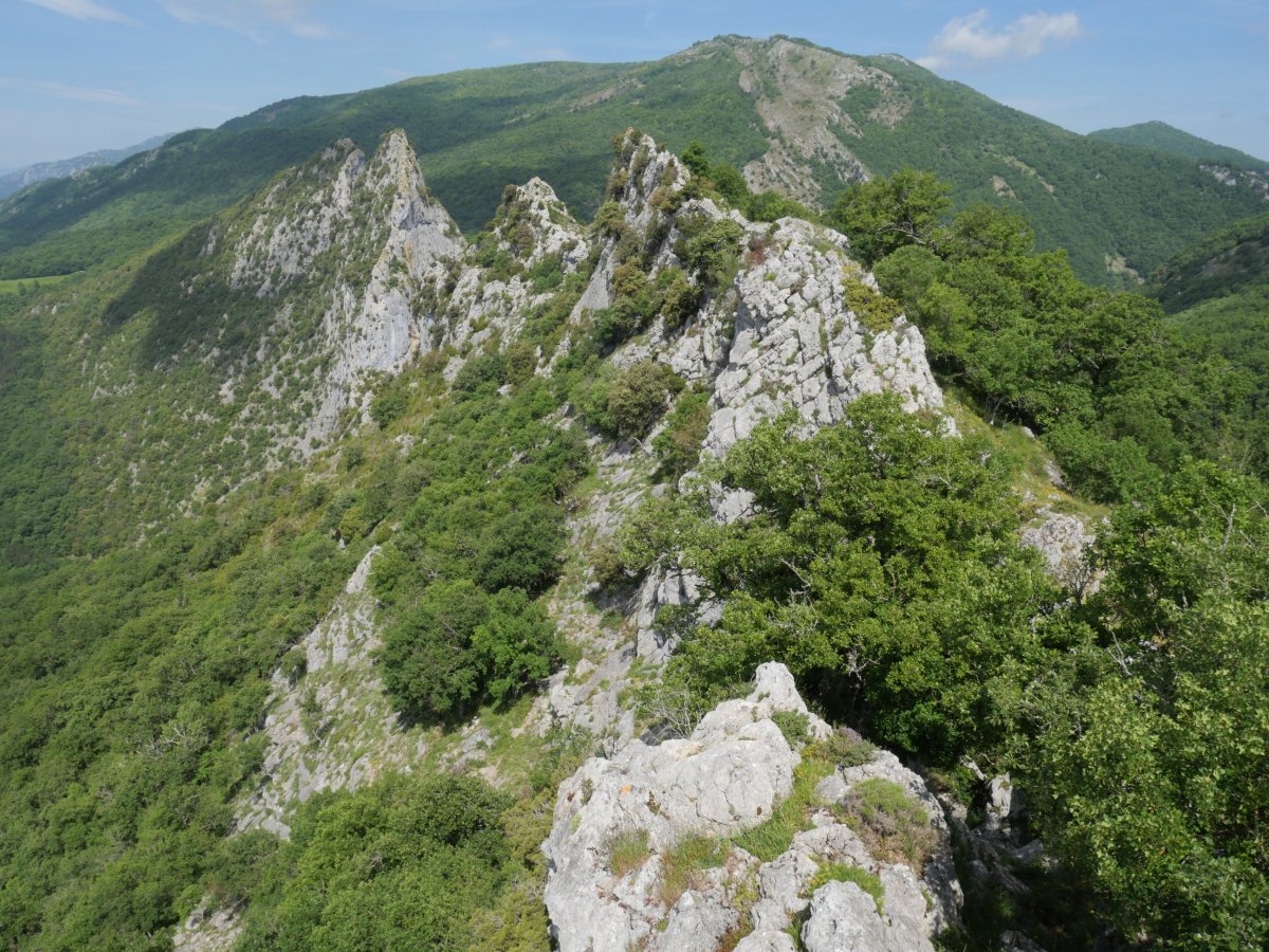 Ekialdeko gandorretik