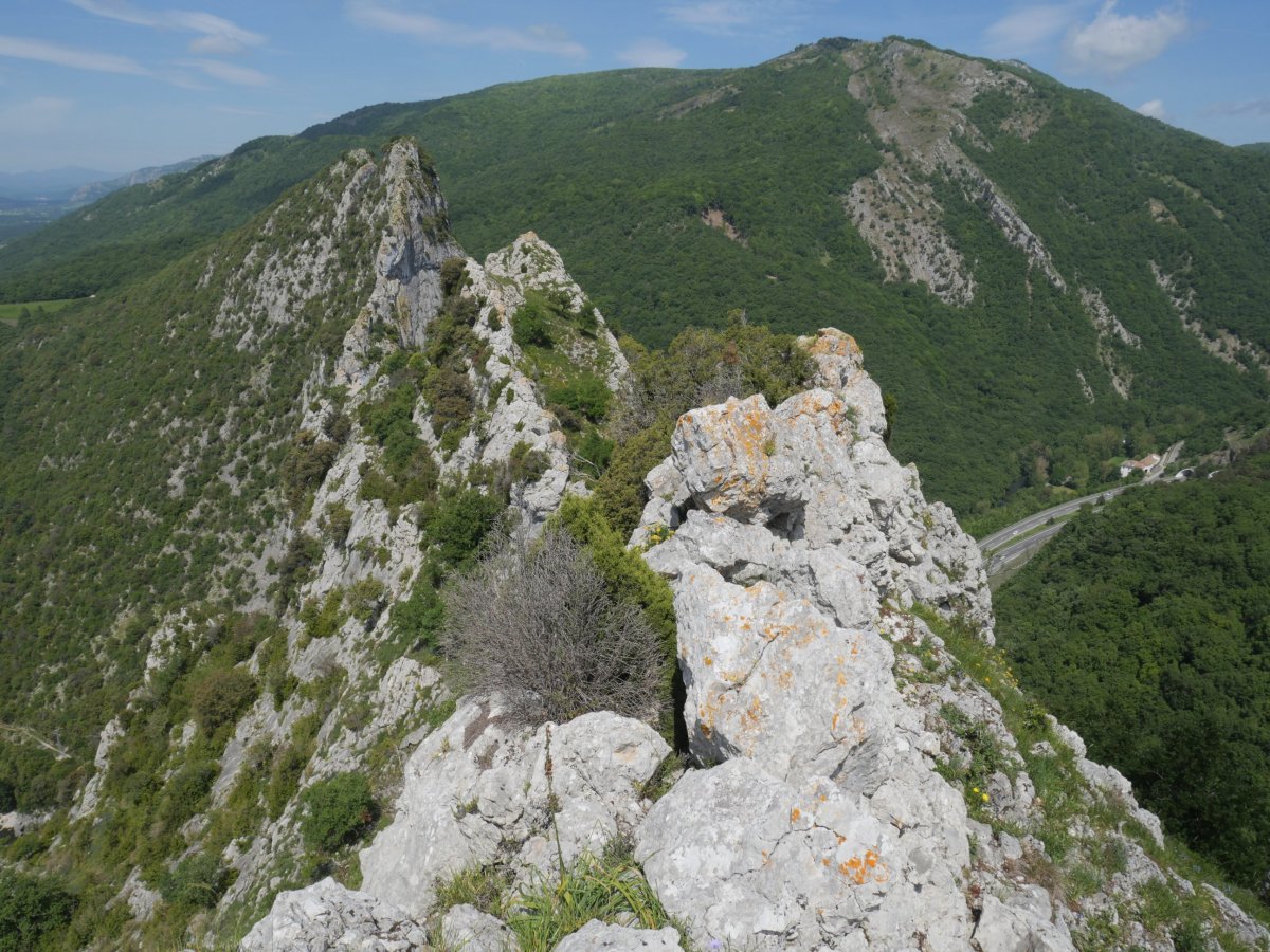 Azken koska ekialdeko gandorrean