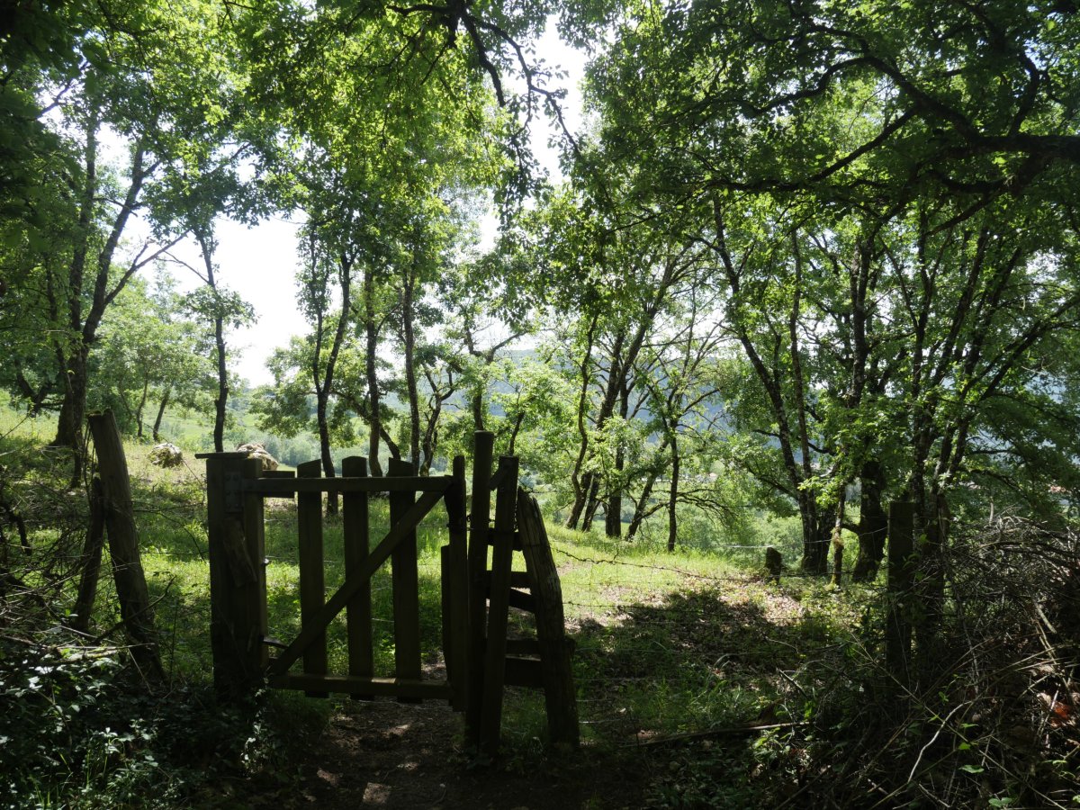 Ataka itxita Plazaolara jaisterakoan, atzera egin behar