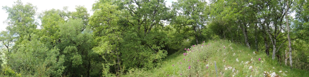 Artebakar, ekialdeko bizkarreko pasarte bat, tontorretik gertu