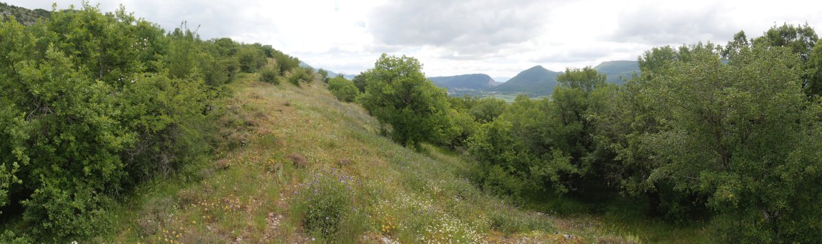 Arritxiki, mendebaldeko bizkarra