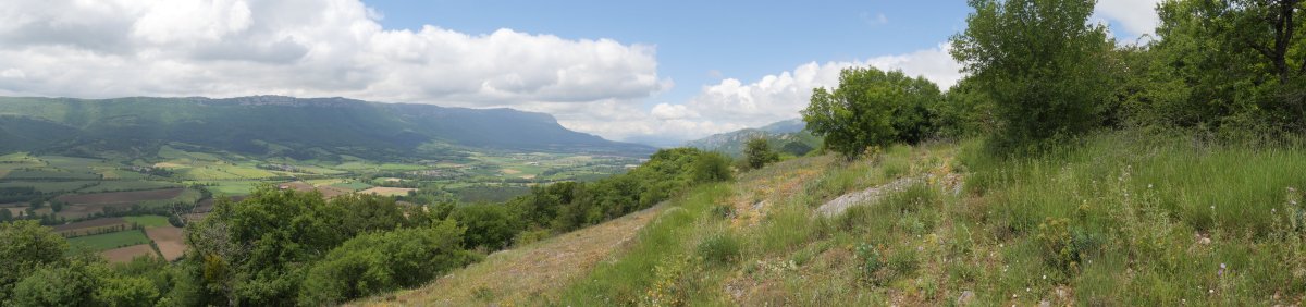 Arritxiki eta Sakanako ikuspegia