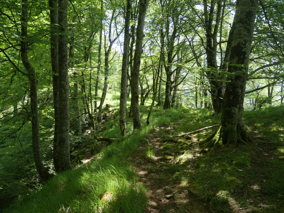 Atagintxa, Soiltxiki eta Sollaundi arteko lepoa