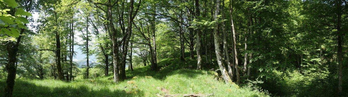 Atagintxa, Soiltxiki eta Sollaundi arteko lepoa