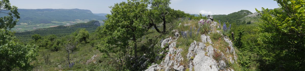 Soiltxiki tontorra ekialdetik