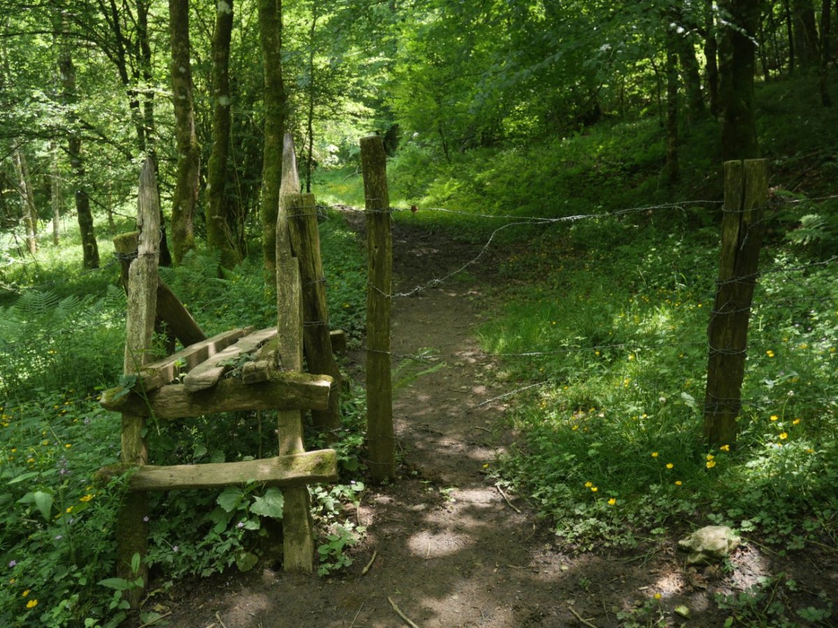 Atako sarrerako harpausoa